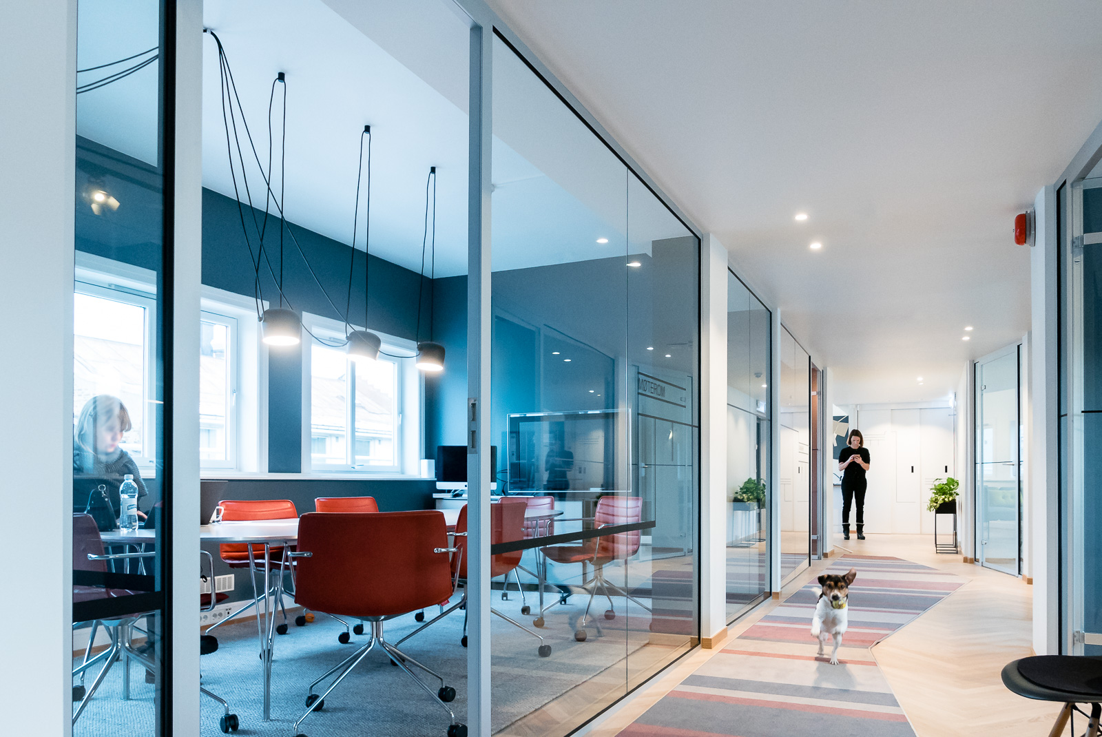 Alpass McGuinness Legal modern chambers